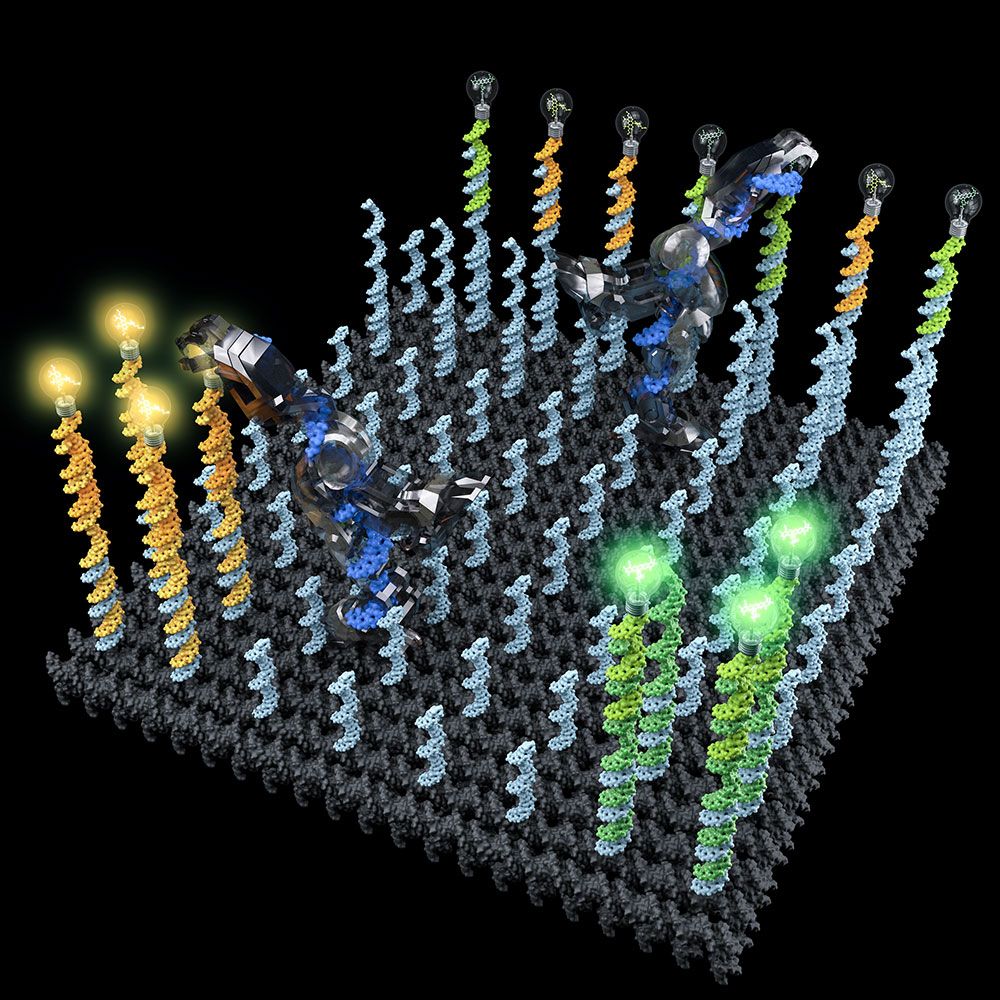 Sorting Molecules with DNA Robots