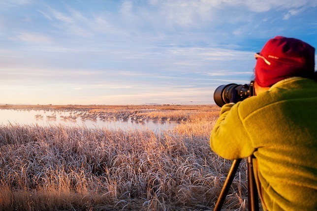 A person taking photos of nature