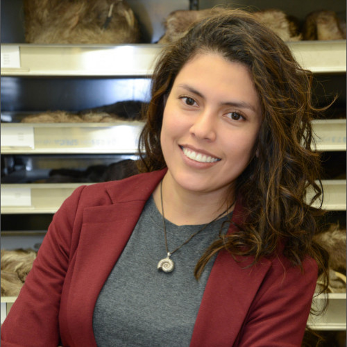 Julia Tejada, Phd